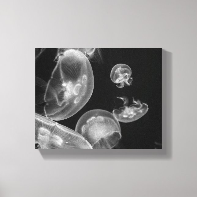 Jellyfish Underwater Canvas Print (Front)