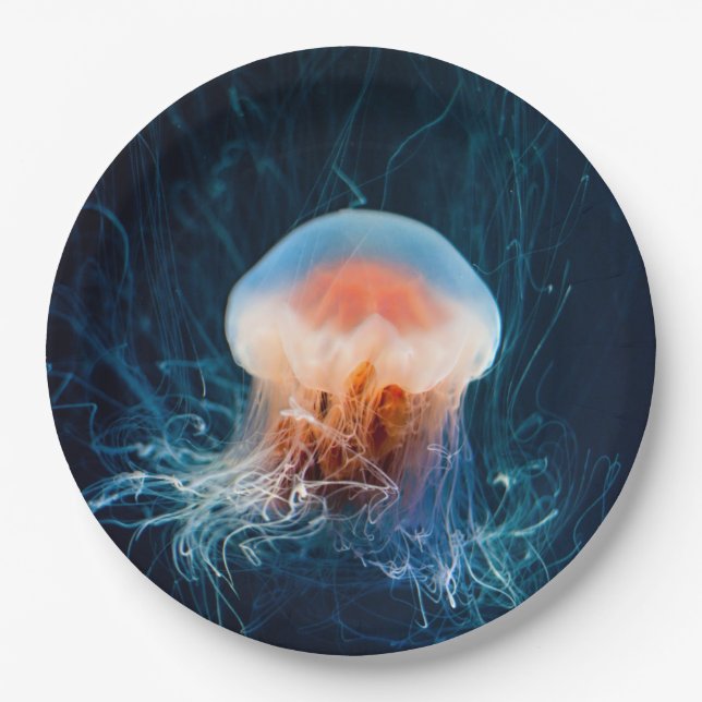 Jellyfish Underwater - Dark Glow Paper Plate (Front)