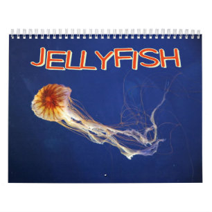 Jellyfish Wall Calendar
