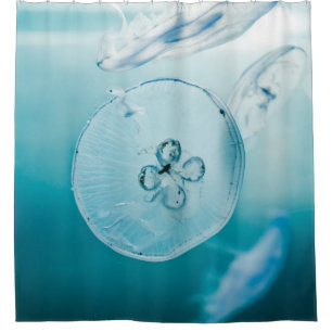JELLYFISHES UNDERWATER