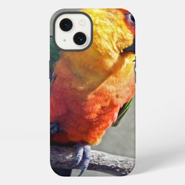 Jenday Conure iPad Case (Back)