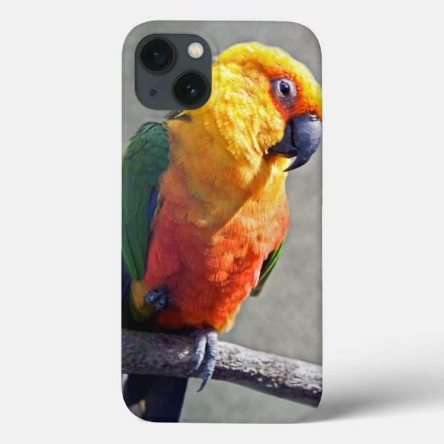 Jenday Conure iPad Case (Back)