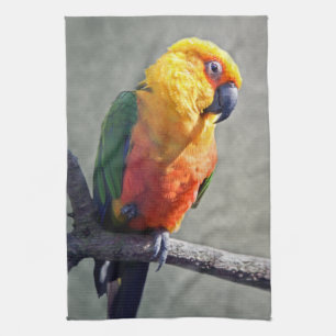 Jenday Conure Kitchen Towel