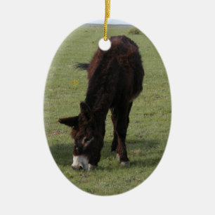 Jenny Lynn Memorial Ceramic Ornament