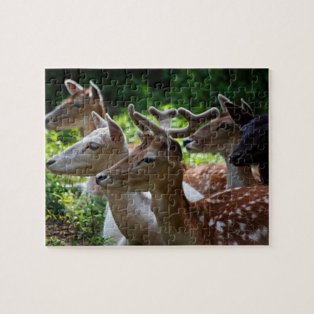 J'entends Puzzle (Horizontal)