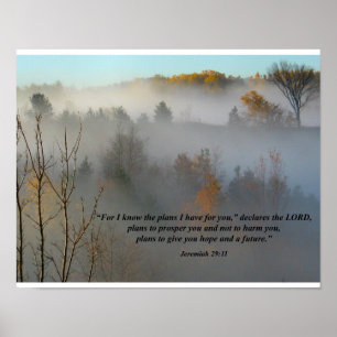 Jeremiah 29:11 Affiche chrétienne