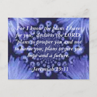 Jeremiah 29:11 Blue Daisy Carte postale
