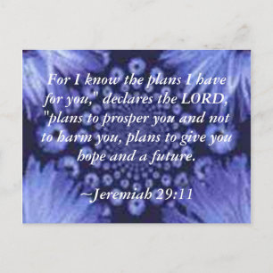 Jeremiah 29:11 Blue Daisy Post Card