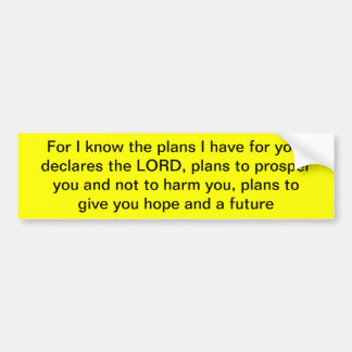 Jeremiah 29:11 Bumper Sticker
