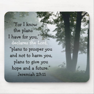 Jeremiah 29:11 For I know the plans I have for you Mouse Pad