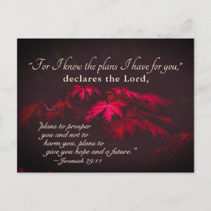 Jeremiah 29:11 For I know the plans I have for you Postcard