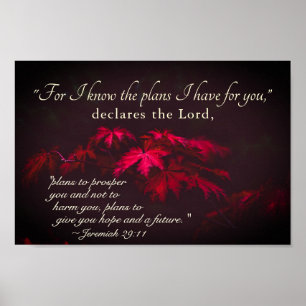 Jeremiah 29:11 For I know the plans I have for you Poster