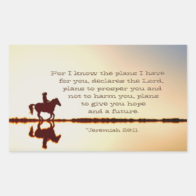 Jeremiah 29:11 For I know the plans I have for you Sticker (Front)