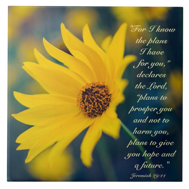 Jeremiah 29:11 For I know the plans, Wildflower Tile (Front)