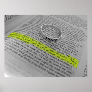 Jeremiah 29:11 - Hope Poster