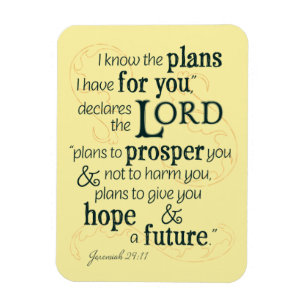 Jeremiah 29:11 I know the plans I have for you... Magnet