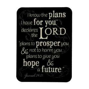 Jeremiah 29:11 I know the plans I have for you... Magnet