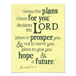 Jeremiah 29:11 I know the plans I have for you... Photo Print