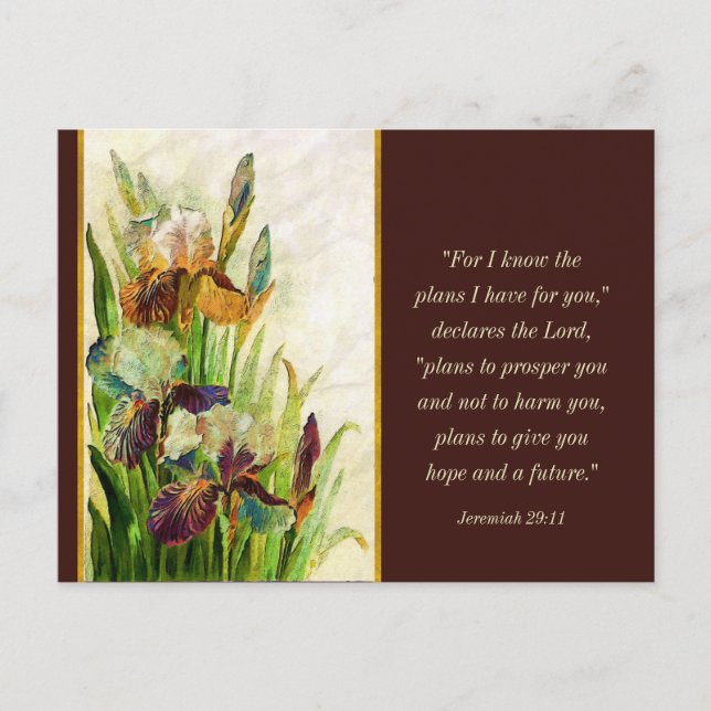 Jeremiah 29:11 I know the plans I have for you Postcard (Front)