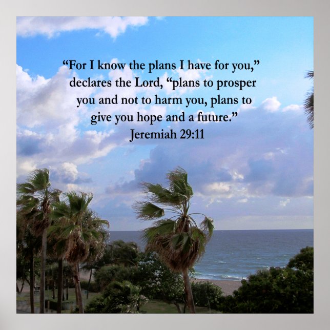 JEREMIAH 29:11 INSPIRATIONAL VERSE POSTER (Front)