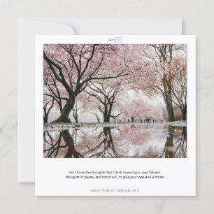 JEREMIAH 29:11 LES PROMESSES DE DIEU carte SCRIPIX