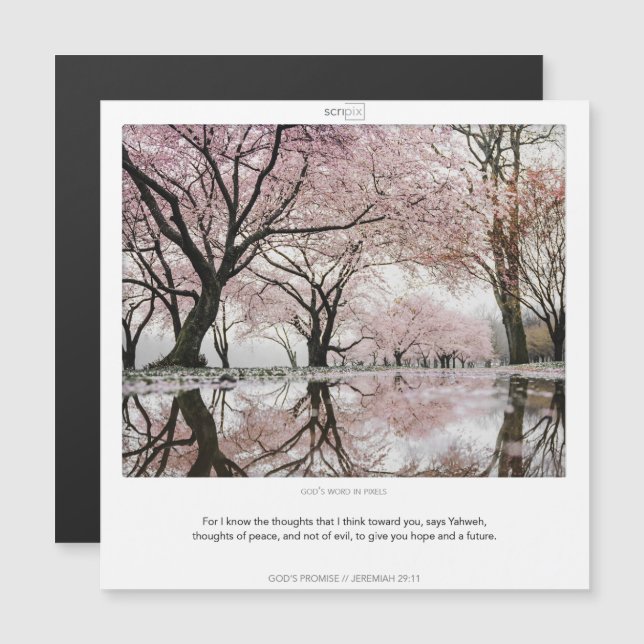 Jeremiah 29:11 LES PROMESSES DE DIEU SCRIPIX carte (Devant / Derrière)