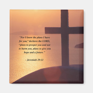 JEREMIAH 29:11 MAGNET