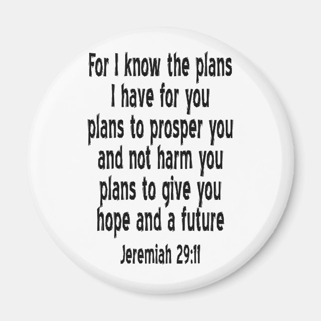 Jeremiah 29:11 magnet (Front)