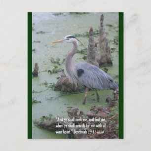 Jeremiah 29:13 Scripture Postcard