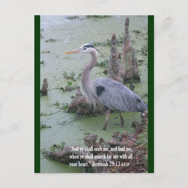 Jeremiah 29:13 Scripture Postcard (Front)