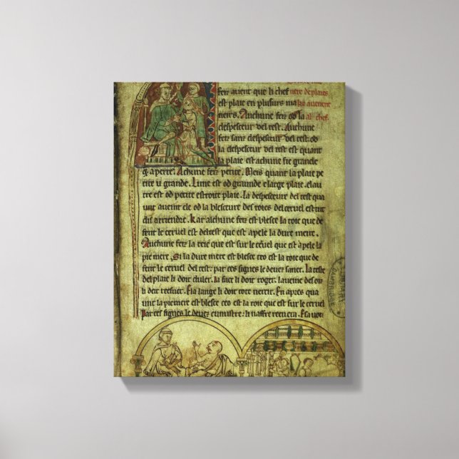 Jerome: A doctor visiting a patient Canvas Print (Front)