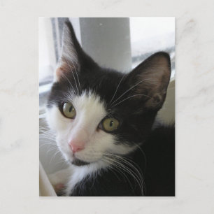 Jerry Postcard