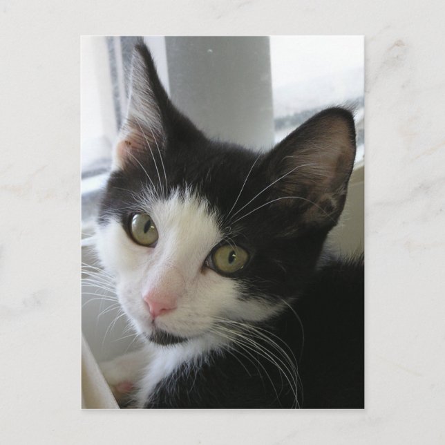 Jerry Postcard (Front)