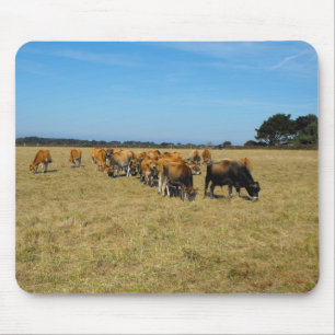 Jersey calves and young bull mouse pad