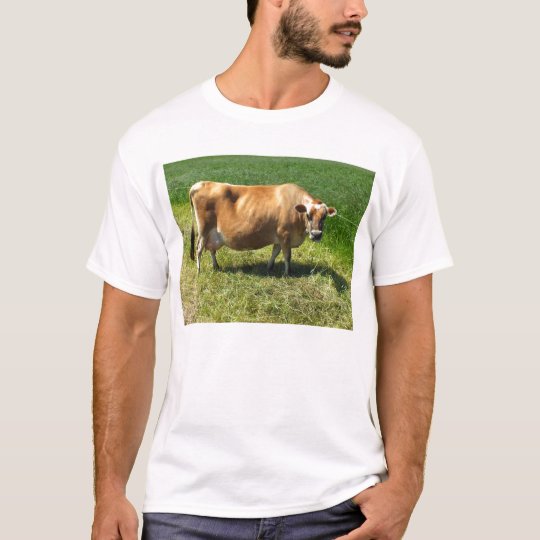 Jersey cow at St John T-Shirt
