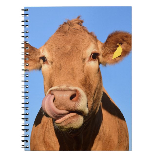 Jersey Cow Licking its Nose Notebook (Front)