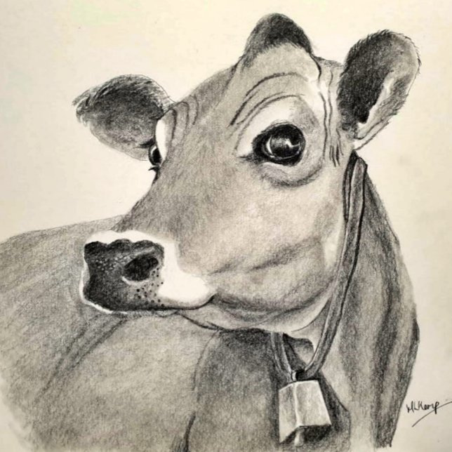 Jersey Cow sketch Poster (Creator Uploaded)