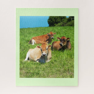 Jersey cows jigsaw puzzle
