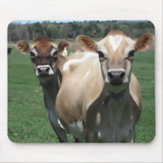 Jersey cows mouse pad