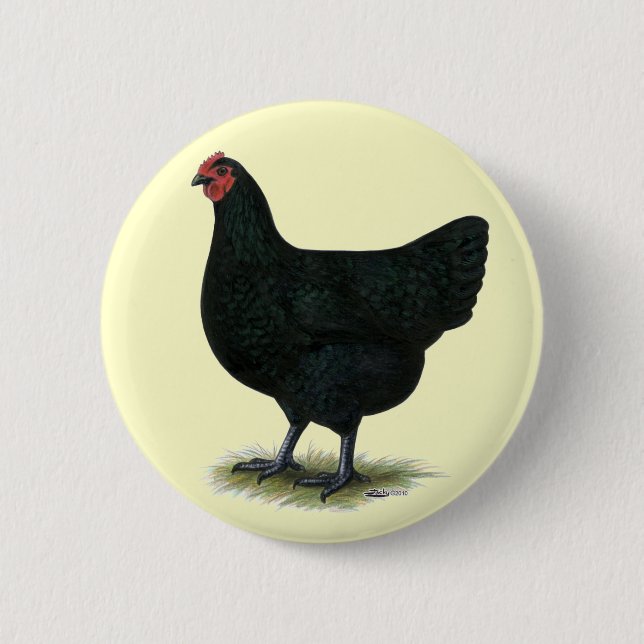 Jersey Giant:  Black Hen 2 Inch Round Button (Front)