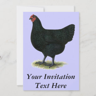 Jersey Giant: Black Hen Invitation