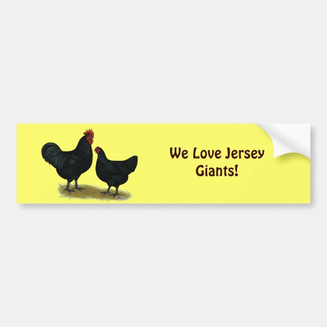 Jersey Giant Chickens Bumper Sticker (Front)