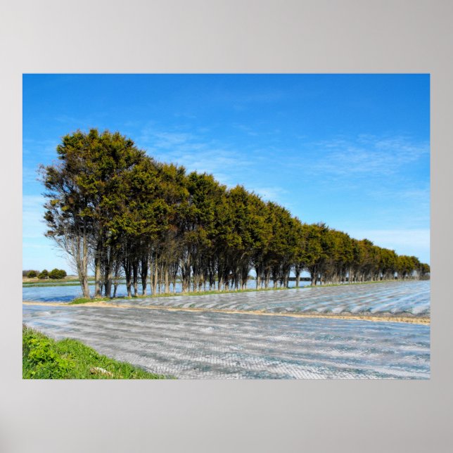 Jersey landscape in springtime poster (Front)