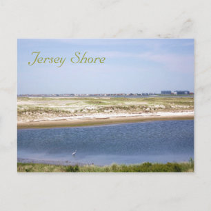 Jersey Shore Point Postcard