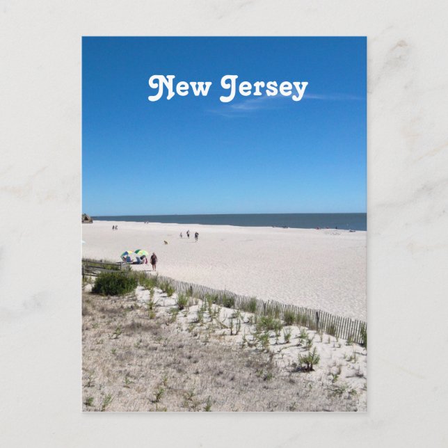 Jersey Shore Postcard (Front)