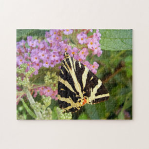 Jersey Tiger Butterfly Photo Puzzle with Gift Box