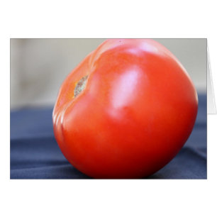 Jersey Tomate 1