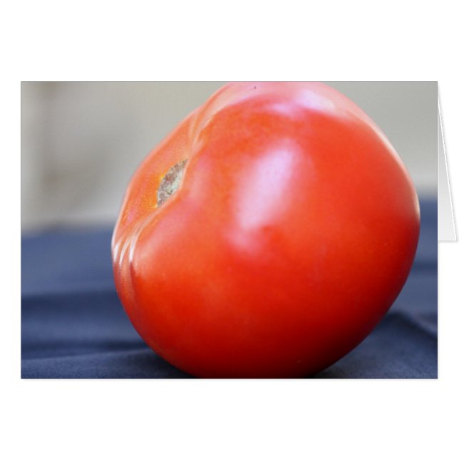 Jersey Tomato 1 (Front Horizontal)