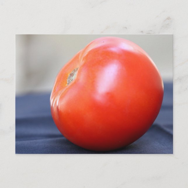 Jersey Tomato 1 Postcard (Front)