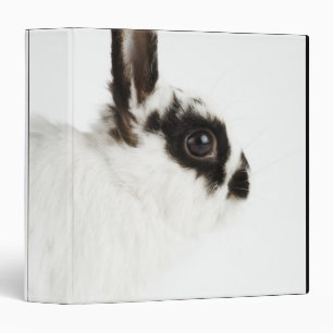 Jersey Wooly Rabbit Binder